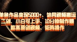 单条作品变现5000+、外网视频搬运二创,小白可上手,10分钟制作爆款高原创视频,矩阵操作【揭秘】-小牛学府