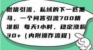怎么搞精准创业粉?微信新赛道,每天一小时,利用Ai一个问答日引100精准粉-小牛学府