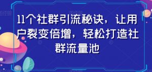 11个社群引流秘诀，让用户裂变倍增，轻松打造社群流量池-小牛学府
