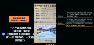十万个富翁修炼宝典之5.揭秘旅游卡项目骗局,号称“一张卡赚500,一天能卖两三张”-小牛学府