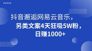 抖音邂逅网易云音乐，另类文案4天狂吸5W粉，日赚1000+【揭秘】-小牛学府
