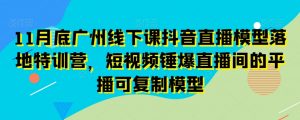 11月底广州线下课抖音直播模型落地特训营，短视频锤爆直播间的平播可复制模型-小牛学府