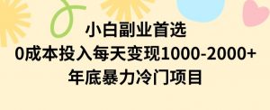 小白副业首选,0成本投入,每天变现1000-2000年底暴力冷门项目【揭秘】-小牛学府