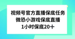 视频号直播任务，微恐小游戏，1小时20+【揭秘】-小牛学府
