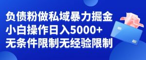 负债粉私域暴力掘金，小白操作入5000，无经验限制，无条件限制【揭秘】-小牛学府