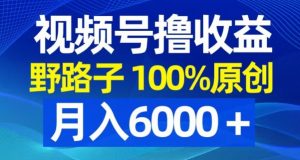 视频号野路子撸收益，100%原创，条条爆款，月入6000＋【揭秘】-小牛学府