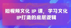 短视频文化IP课,学习文化IP打造的底层逻辑-小牛学府