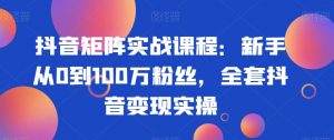 抖音矩阵实战课程：新手从0到100万粉丝，全套抖音变现实操-小牛学府