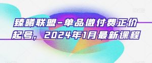臻曦联盟-单品微付费正价起号，2024年1月最新课程-小牛学府