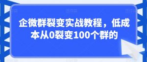 企微群裂变实战教程，低成本从0裂变100个群的-小牛学府