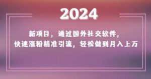 2024新项目,通过国外社交软件,快速涨粉精准引流,轻松做到月入上万【揭秘】-小牛学府