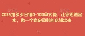 2024拼多多日销0-100单实操,让你迅速起步,做一个稳定盈利的店铺出来-小牛学府