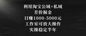 利用淘宝公域+私域差价掘金，日赚1000-5000元，工作室可放大操作，实操稳定半年【揭秘】-小牛学府