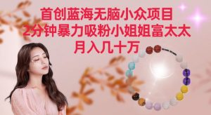 首创蓝海无脑小众项目，2分钟暴力吸粉小姐姐富太太，月入几十万【揭秘】-小牛学府