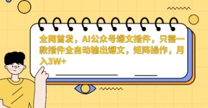 全网首发,AI公众号爆文插件,只需一款插件全自动输出爆文,矩阵操作,月入3W+【揭秘】-小牛学府