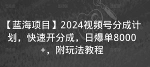 【蓝海项目】2024视频号分成计划，快速开分成，日爆单8000+，附玩法教程-小牛学府