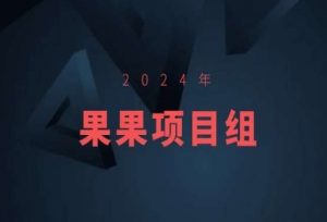 2024年果果项目组项目合集-果果最新项目-小牛学府