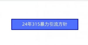 24年315暴力引流方针-小牛学府