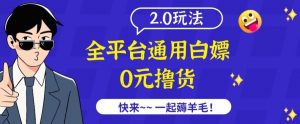 外面收费2980的全平台通用白嫖撸货项目2.0玩法【仅揭秘】-小牛学府