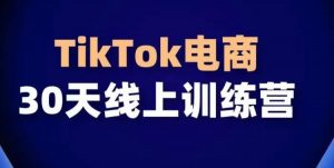 TikTok电商带货30天线上课，不可错过的全球流量洼地！-小牛学府