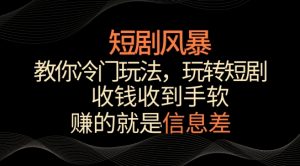 短剧风暴,教你冷门玩法,玩转短剧,收钱收到手软【揭秘】-小牛学府