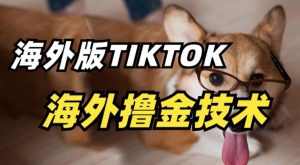 抖音海外版tiktok撸金技术，这个风口行业，赚钱真的不难【揭秘】-小牛学府
