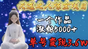 天选之人炼金项目,一个作品涨粉5000+,单号变现3.6w【揭秘】-小牛学府