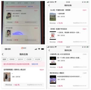 2024年3月最新,快手磁力聚星全流程实操教学,8台手机日均收益稳定100~200元【揭秘】-小牛学府