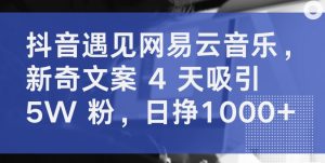 抖音遇见网易云音乐，新奇文案 4 天吸引 5W 粉，日挣1000+【揭秘】-小牛学府