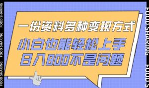 一份资料多种变现方式,小白也能轻松上手,日入800不是问题【揭秘】-小牛学府