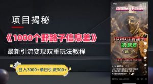 一千个野路子信息差最新玩法教程-变现+引流的玩法具体拆解【揭秘】-小牛学府