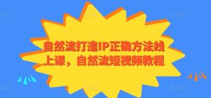 自然流打造IP正确方法线上课,自然流短视频教程-小牛学府