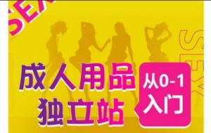 成人用品独立站从0-1入门,成品独立站运营全流程教学,七大好卖成品独立站推荐-小牛学府