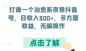 打造一个治愈系夜景抖音号，日收入300+，多方面收益，无脑操作【揭秘】-小牛学府