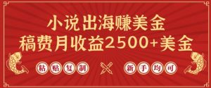 小说出海赚美金，稿费月收益2500+美金，仅需chatgpt粘贴复制，新手也能玩转【揭秘】-小牛学府