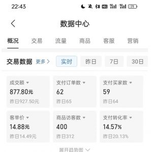 拼多多虚拟U盘电商红利项目：月赚2万+，新手小白也能玩-小牛学府