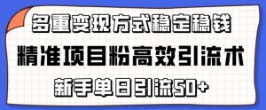 精准项目粉高效引流术,新手单日引流50+,多重变现方式稳定赚钱【揭秘】-小牛学府