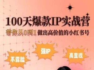 小红书100天爆款IP实战营，带你从0到1做出高价值的小红书号-小牛学府