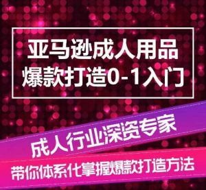 亚马逊成人用品爆款打造0-1入门,系统化讲解亚马逊成人用品爆款打造的流程-小牛学府
