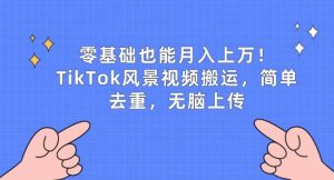 零基础也能月入上w,TikTok风景视频搬运,简单去重,无脑上传【揭秘】-小牛学府