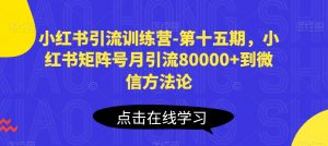 小红书引流训练营-第十五期，小红书矩阵号月引流80000+到微信方法论-小牛学府
