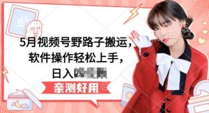 5月视频号野路子搬运,软件操作轻松上手,日入三位数【揭秘】-小牛学府
