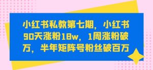 小红书私教第七期，小红书90天涨粉18w，1周涨粉破万，半年矩阵号粉丝破百万-小牛学府