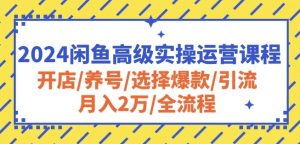 2024闲鱼高级实操运营课程:开店/养号/选择爆款/引流/月入2万/全流程-小牛学府