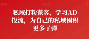 私域打粉获客,学习AD投流,为自己的私域囤积更多子弹-小牛学府