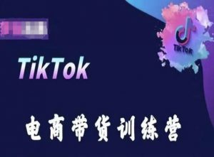 TikTok电商带货训练营，跟随时代潮流，跨境掘金-小牛学府