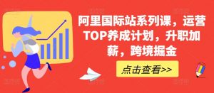 阿里国际站系列课,运营TOP养成计划,升职加薪,跨境掘金-小牛学府
