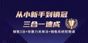 从小新手到销冠 三合一速成:销售3法+非暴力关单法+销售系统挖需课 (27节)-小牛学府