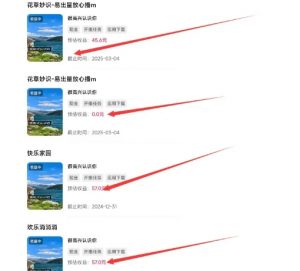 磁力聚星游戏副业陪跑训练营1.0,长期稳定项目,有人一周干了1K+-小牛学府