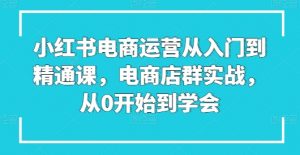 小红书电商运营从入门到精通课，电商店群实战，从0开始到学会-小牛学府